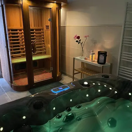 Jacuzzi & Sauna Privatifs - Vue